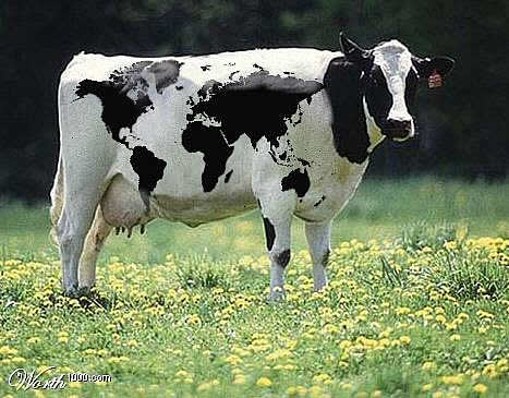 When Graphic Artists Get Bored