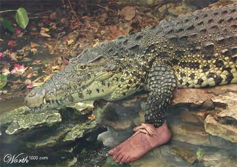 When Graphic Artists Get Bored