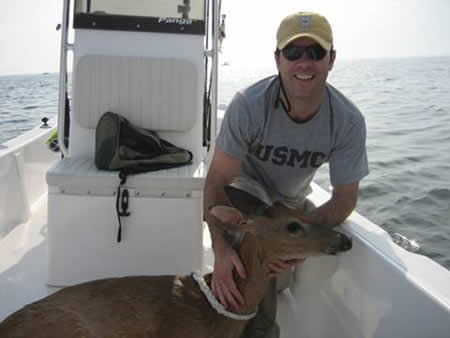offshore deer