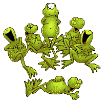 frogs laughing