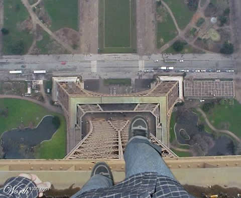 The Last Picture I Ever Took