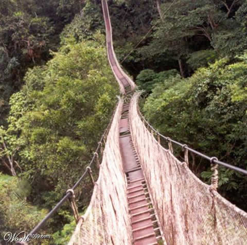 The Last Picture I Ever Took