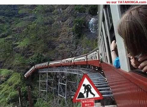 The Last Picture I Ever Took