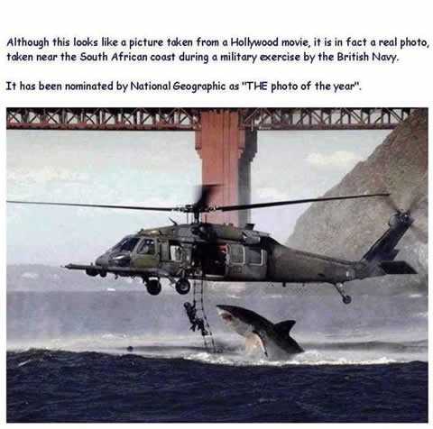 The Last Picture I Ever Took