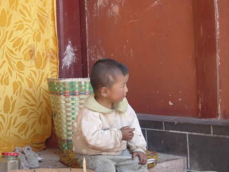 China's Little Johnny