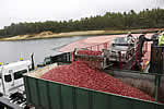 2014 Cranberry Harvest Festival